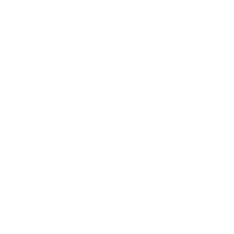 house (12)